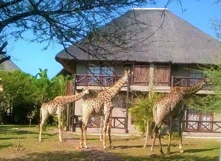 Rhulani Kruger Villa Marloth Park Esterno foto
